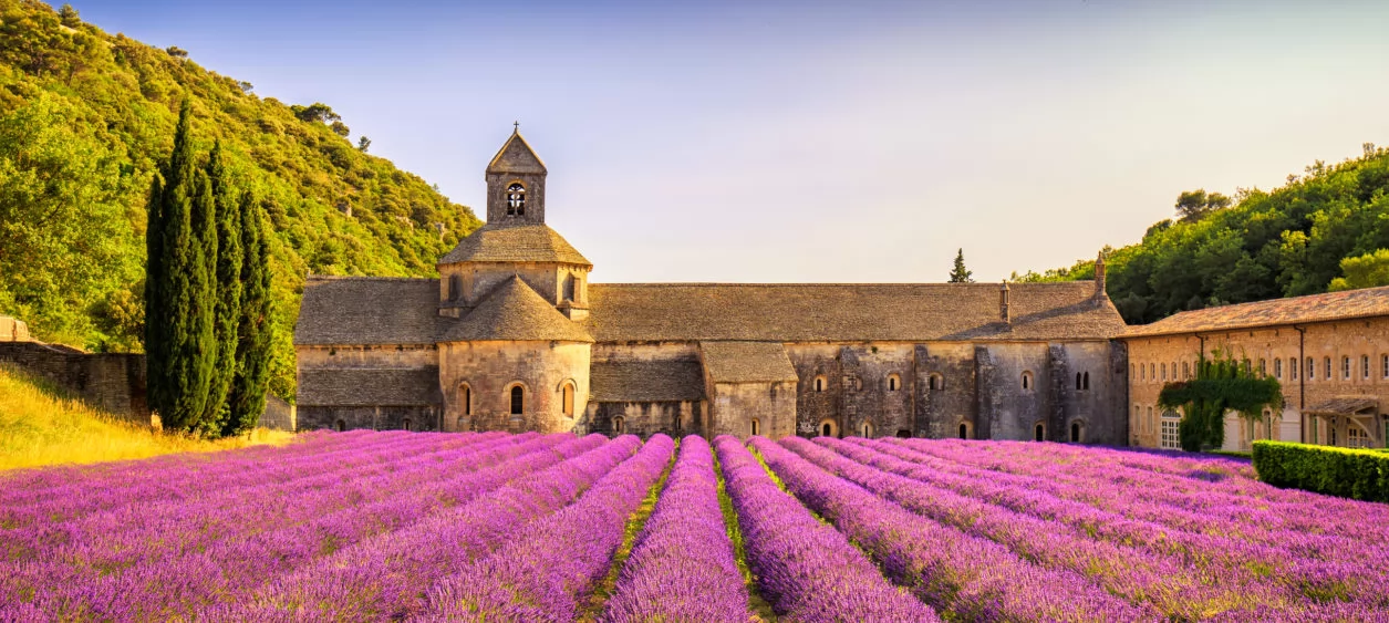 Grasse